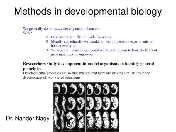 Methods in developmental biology