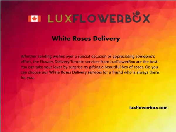 Luxflowerbox.com - White roses delivery
