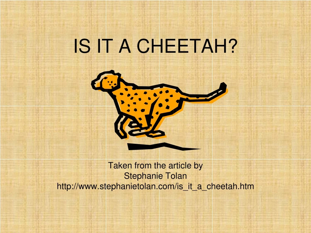 is it a cheetah