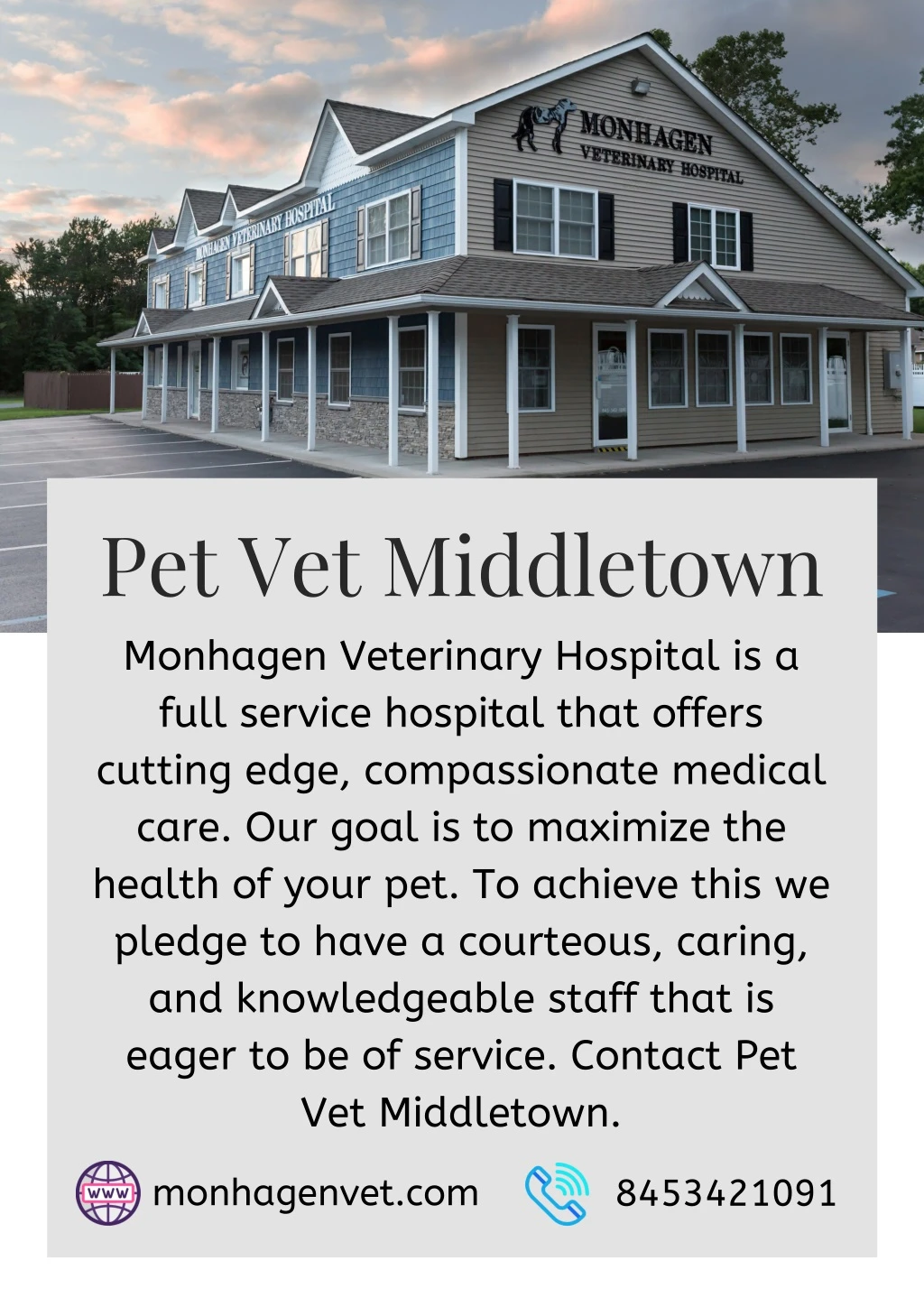 pet vet middletown monhagen veterinary hospital