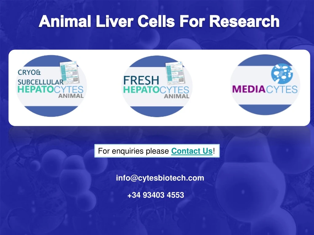 animal liver cells for research