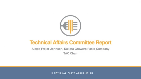 Technical Affairs Committee Report