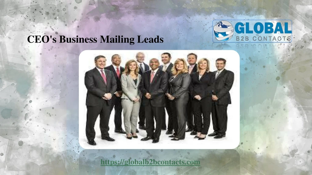 ceo s business mailing leads