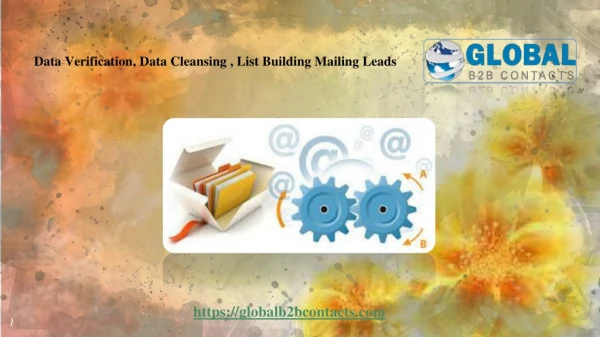 data verification data cleansing list building