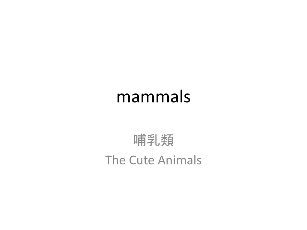 mammals