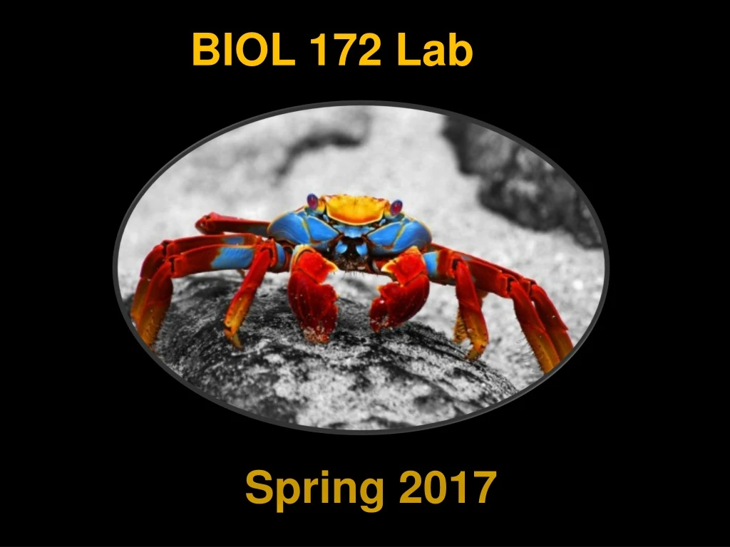 biol 172 lab