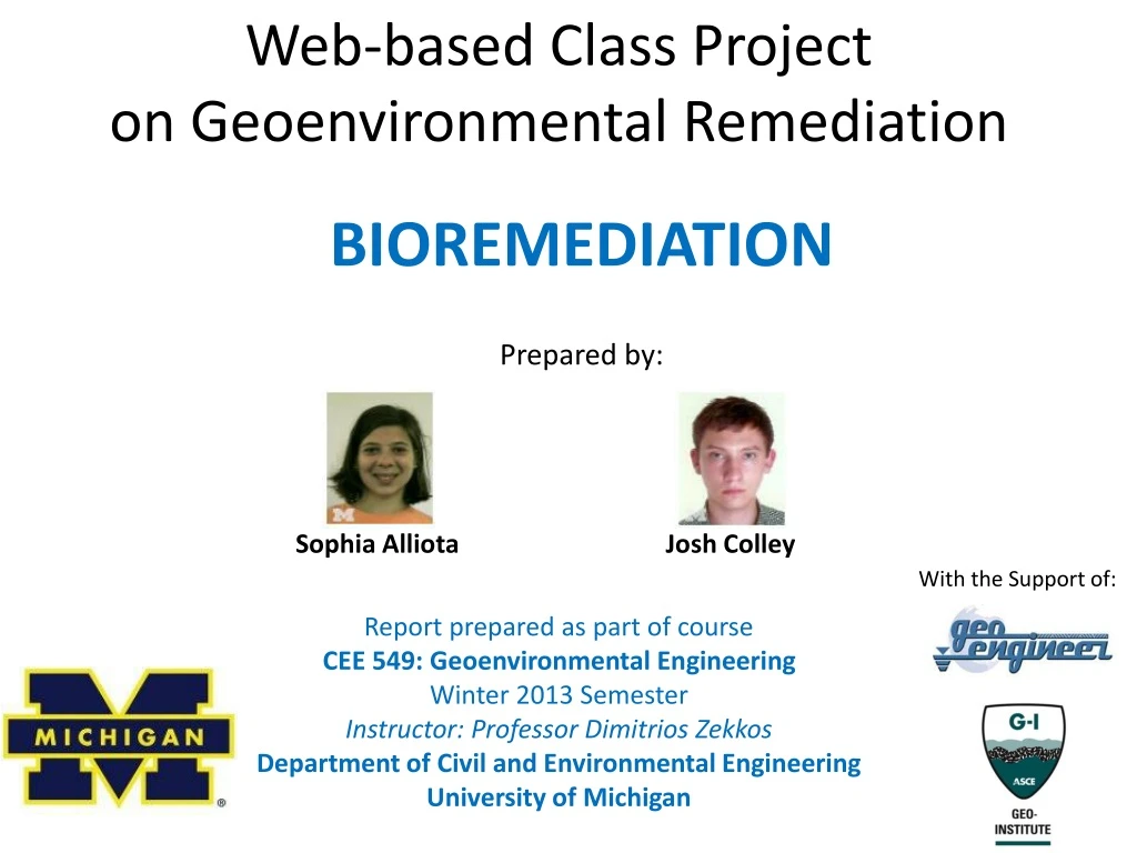 web based class project on geoenvironmental remediation