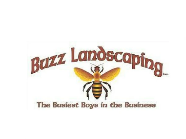 Buzz Landscaping Inc.