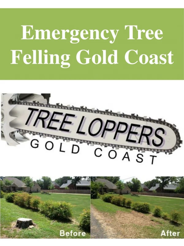 Emergency Tree Felling Gold Coast