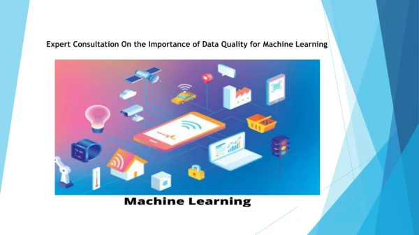 Expert Consultation On the Importance of Data Quality for Machine Learning