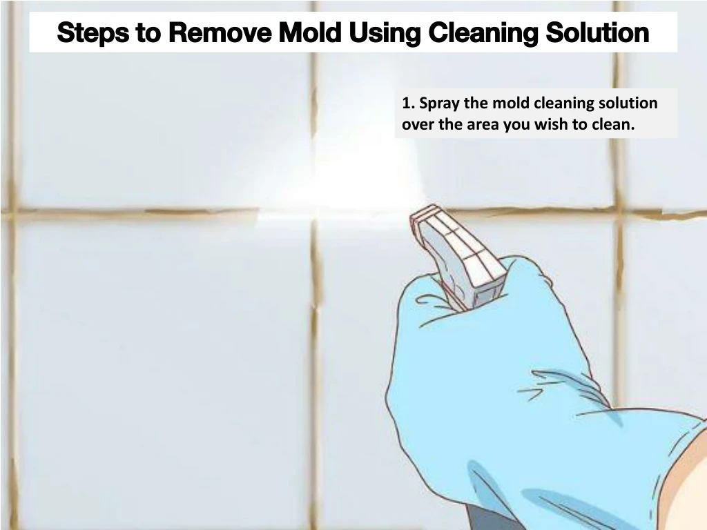 steps to remove mold using cleaning solution