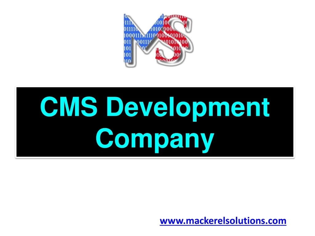 cms development company