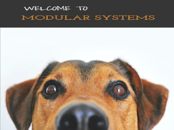 Dog Runs Cork | Modular Kennel Systems | Pet Enclosure Dublin, Ireland