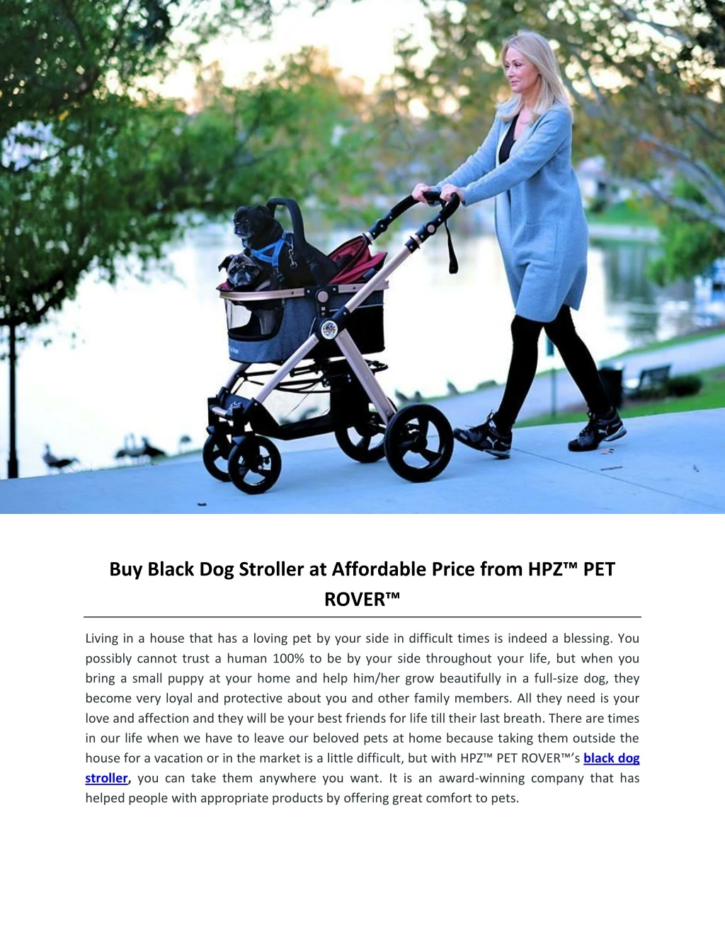 buy black dog stroller at affordable price from