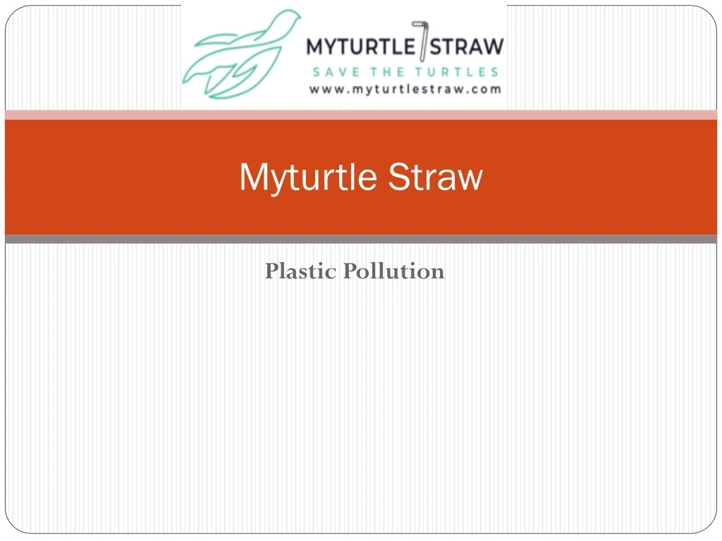 myturtle straw