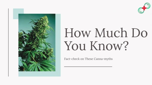 How Much Do You Know?Fact-check on These Canna-myths