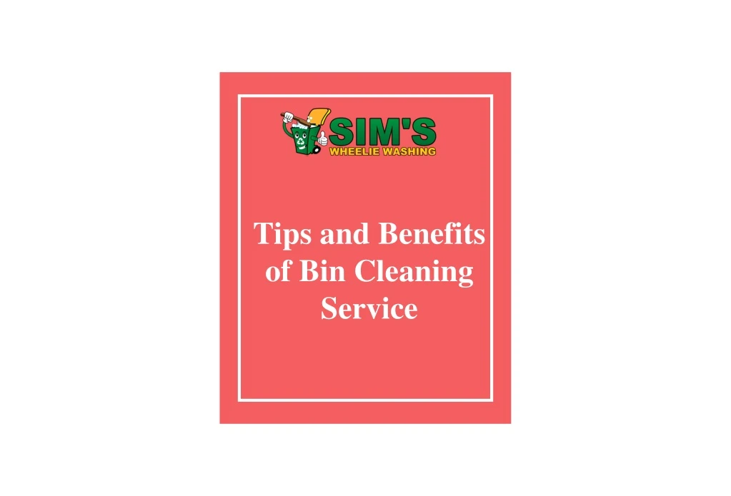 tips and benefits of bin cleaning service