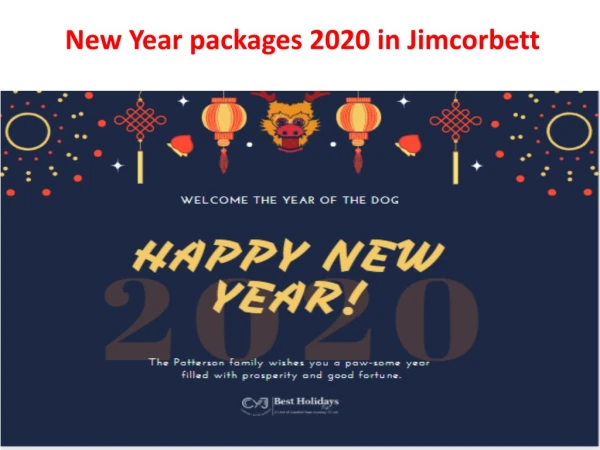 New Year party 2020 in Jim Corbett | New Year Packages in Jimcorbett