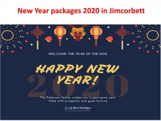 New Year party 2020 in Jim Corbett | New Year Packages in Jimcorbett