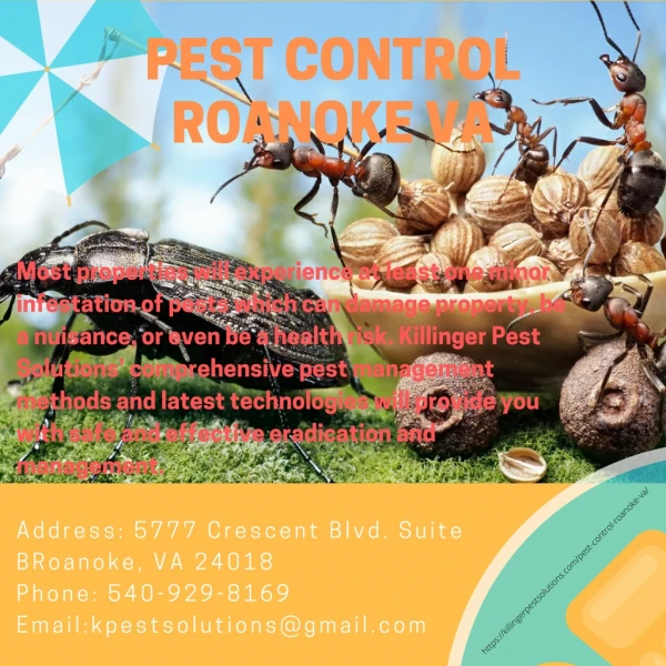 pest control roanoke va