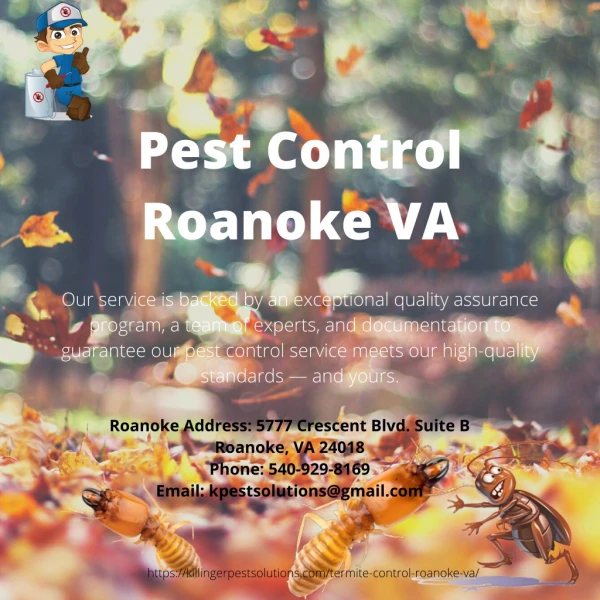 pest control roanoke va