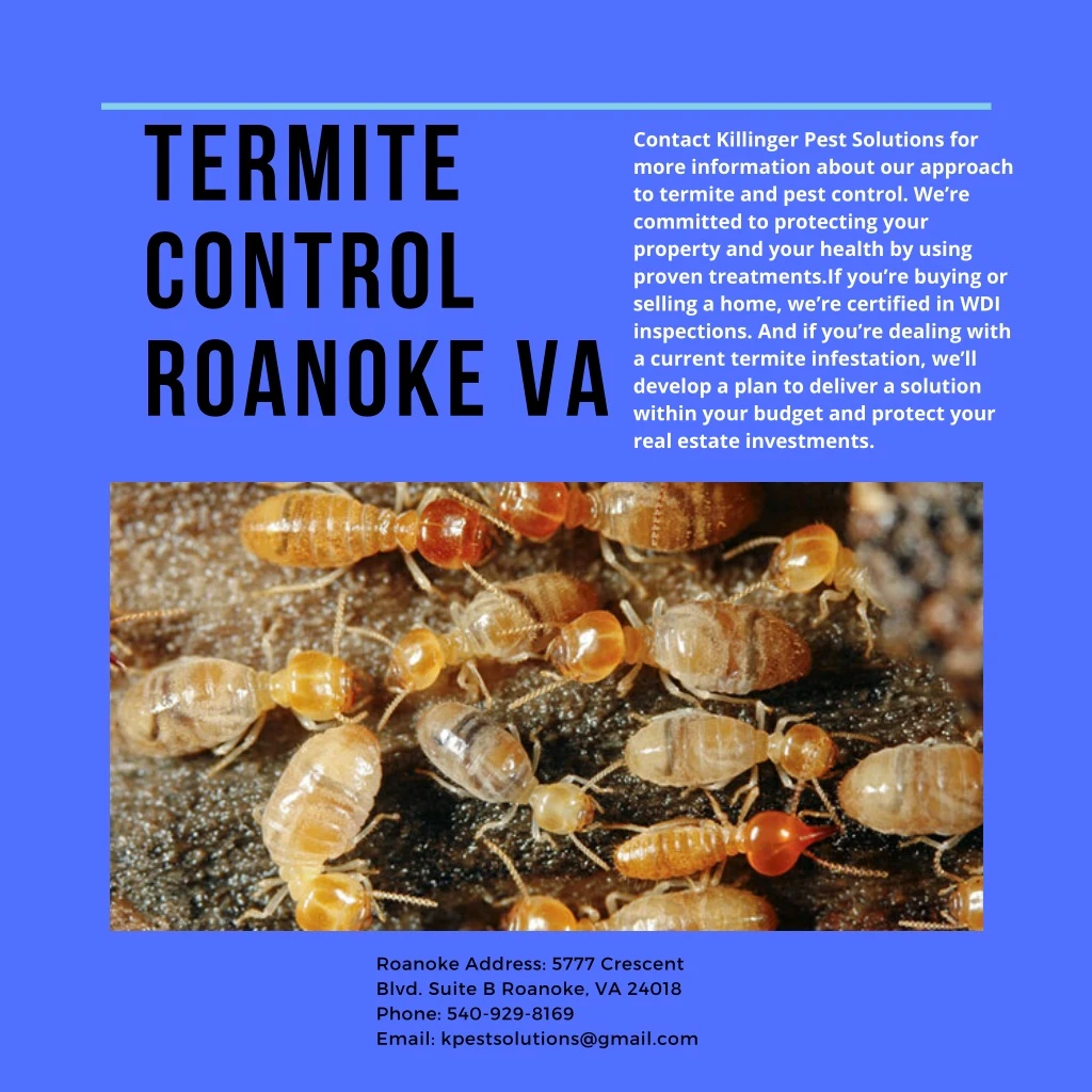 termite control roanoke va