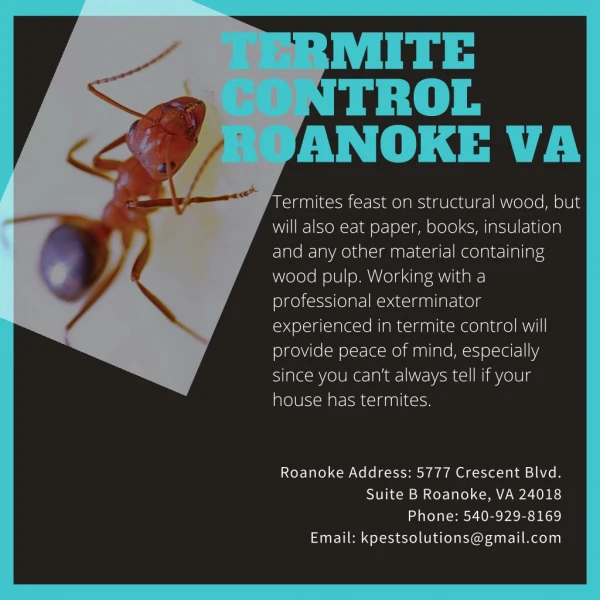 termite control roanoke va