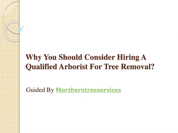 Why You Should Consider Hiring A Qualified Arborist For Tree Removal?