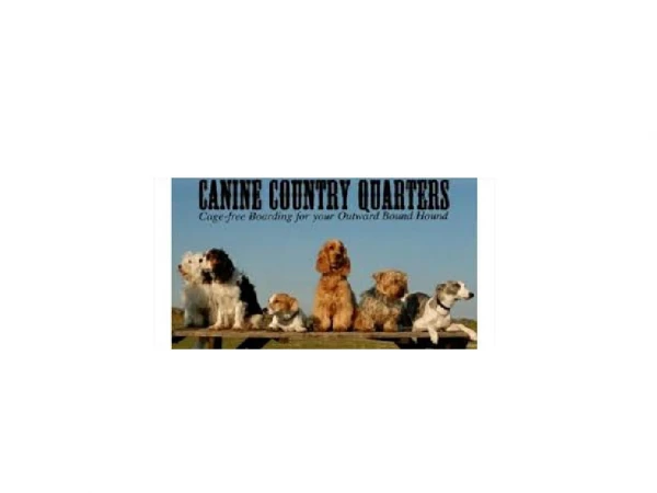 Canine Country Quarters