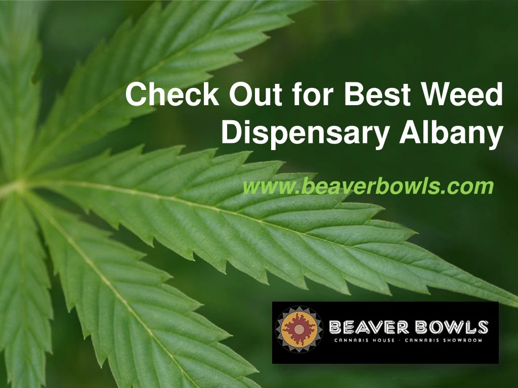 check out for best weed dispensary albany
