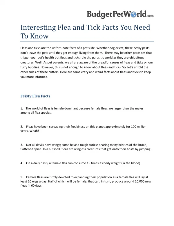 Interesting Flea and Tick Facts You Need To Know- BudgetPetSupplies