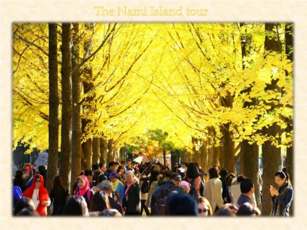 the nami island tour