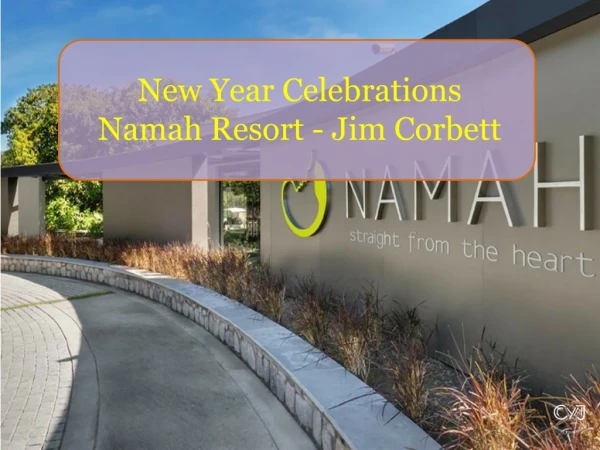 New Year Party 2020 in Namah Resort Jim Corbett