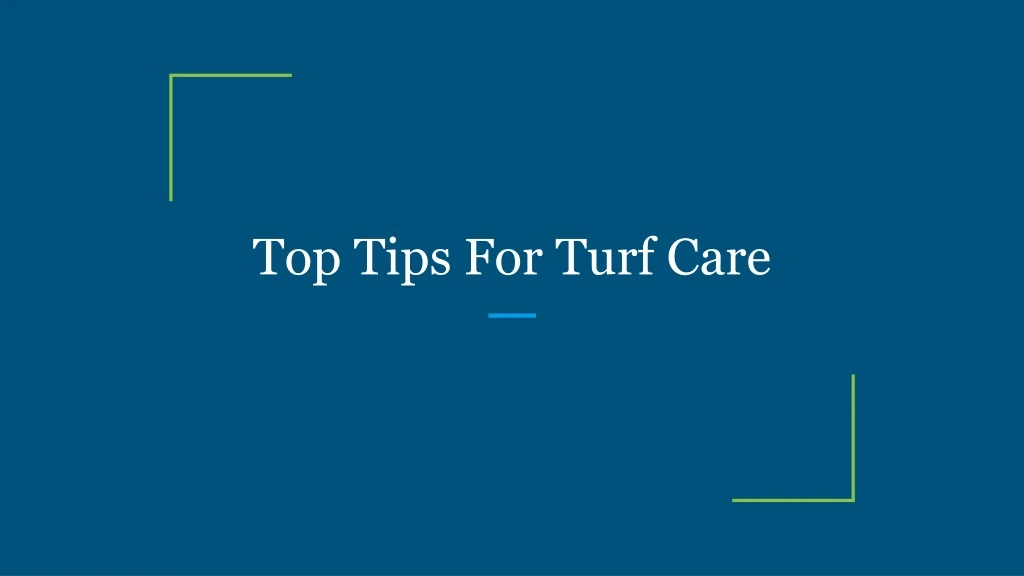 top tips for turf care