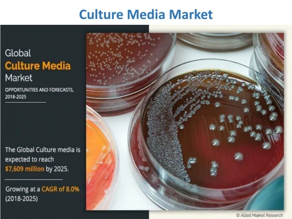 culture media market