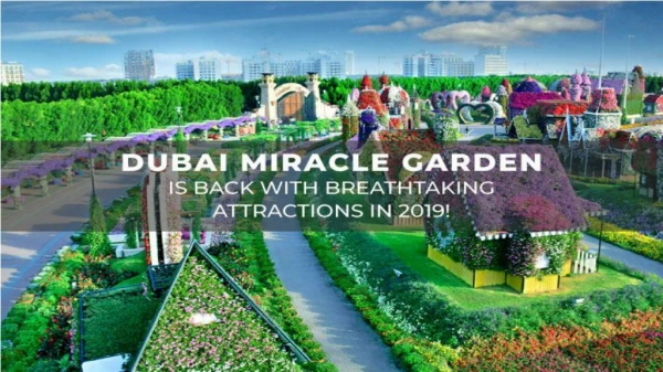 Dubai Miracle Garden is Back