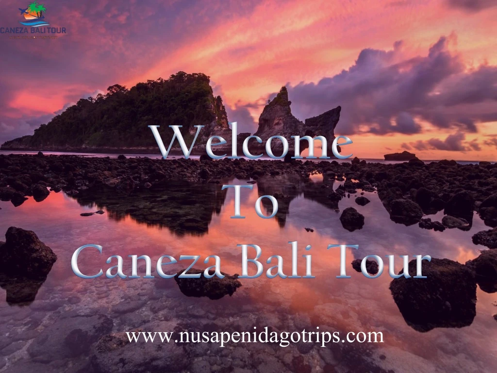 welcome to caneza bali tour