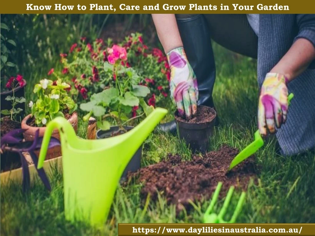know how to plant care and grow plants in your