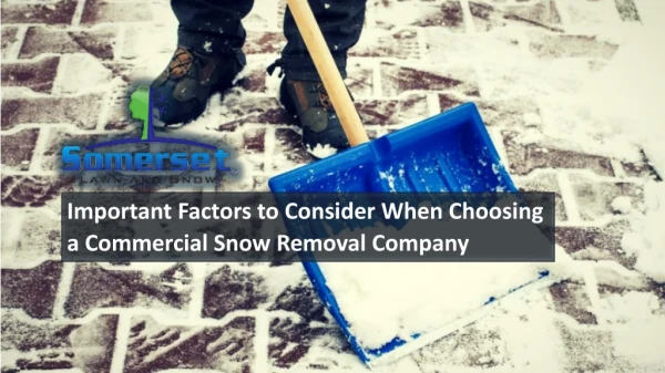 Important Factors to Consider when Choosing a Commercial Snow Removal Company