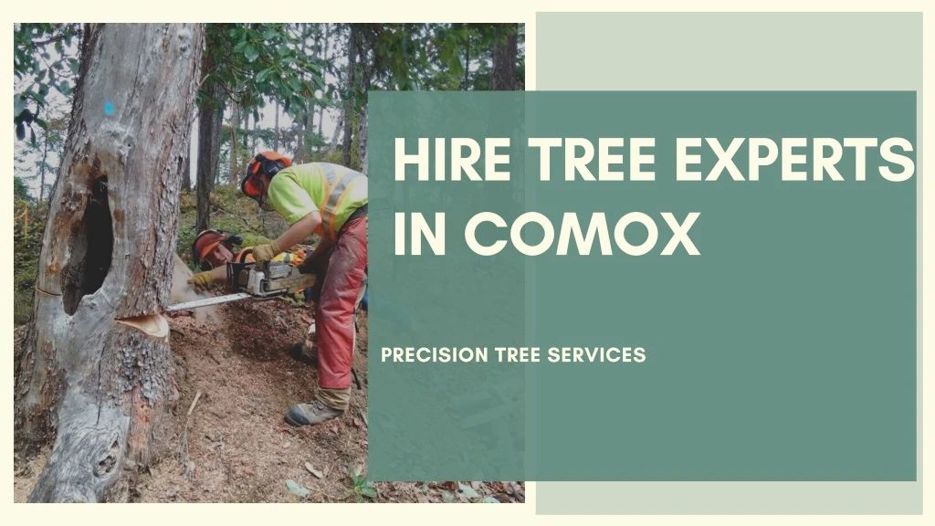 hire tree experts in comox