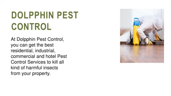 Pest Control Services in Delhi, Pest Control in Delhi, Pest Control Noida