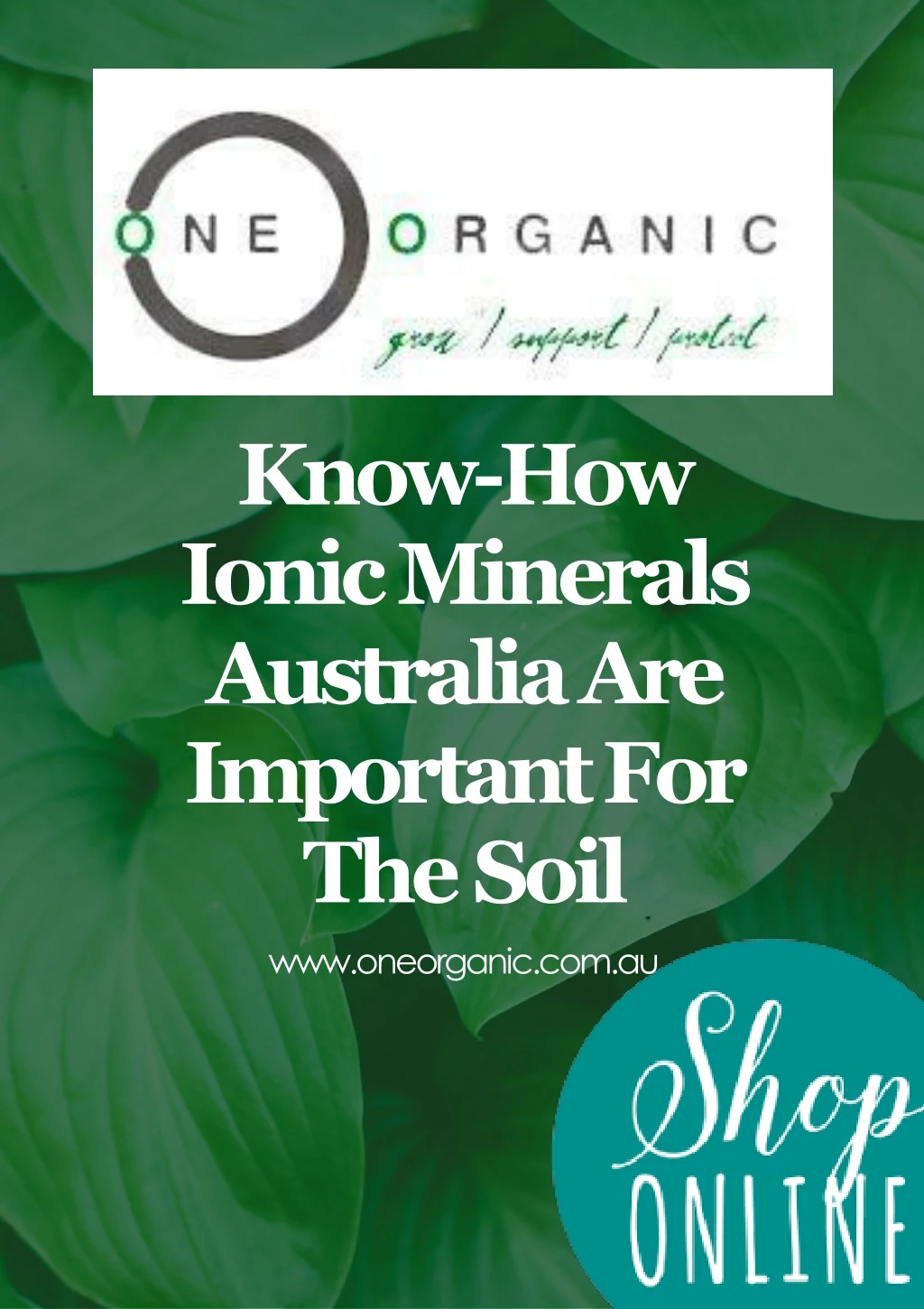 know how ionic minerals australia are important