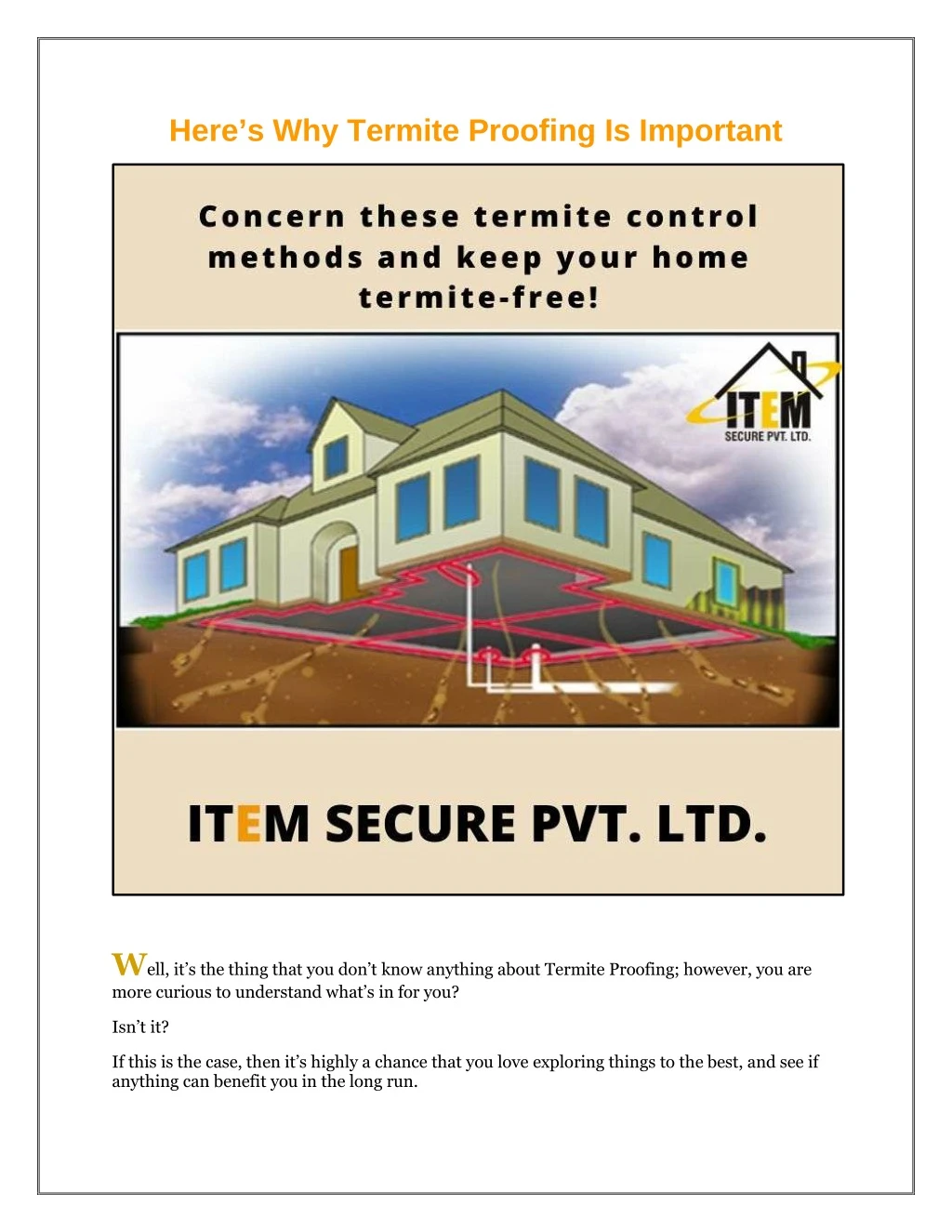 here s why termite proofing is important