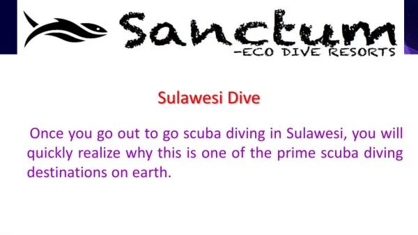 sulawesi dive