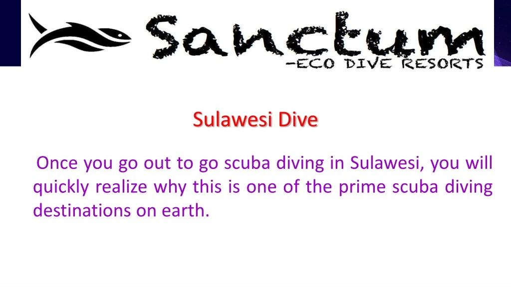 sulawesi dive