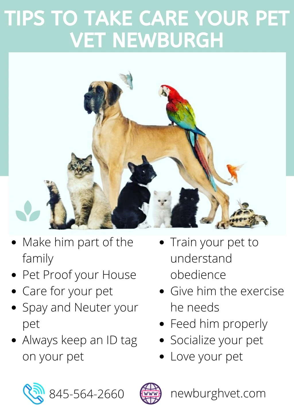 tips to take care your pet vet newburgh