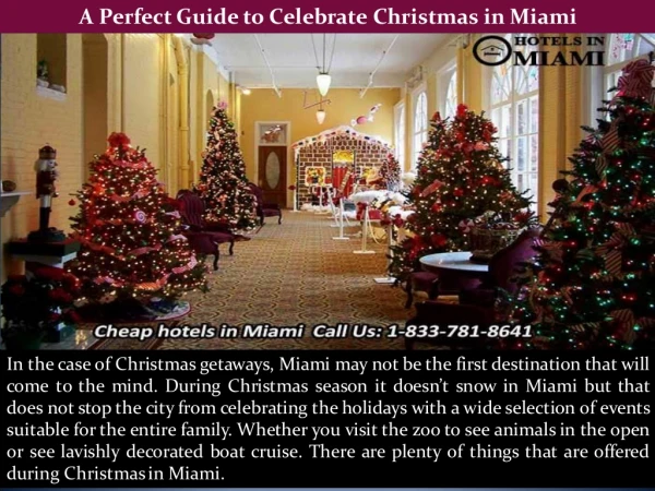 A Perfect Guide to Celebrate Christmas in Miami