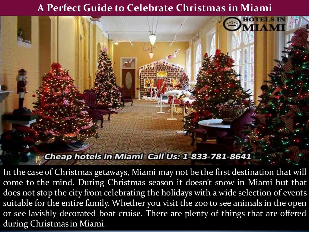 a perfect guide to celebrate christmas in miami
