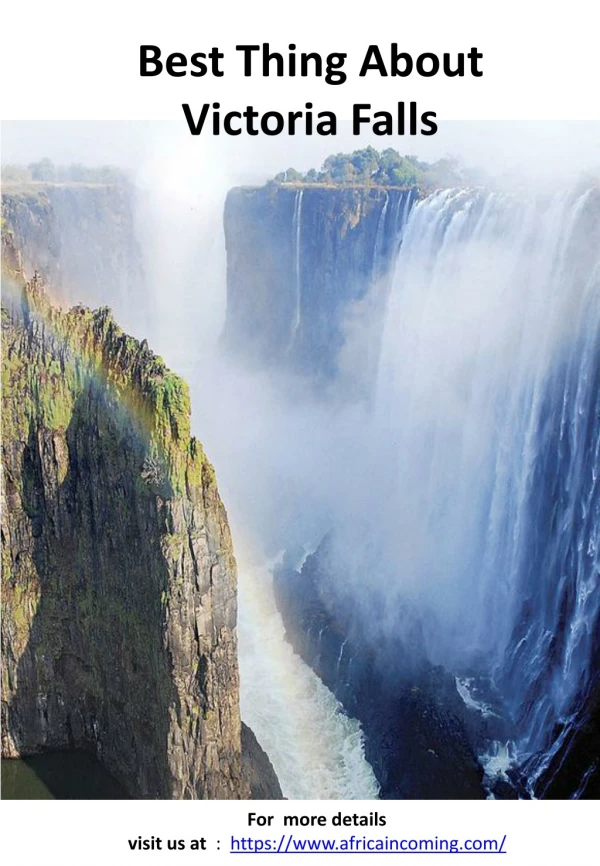 Best Thing About Victoria Falls - Africa Incoming