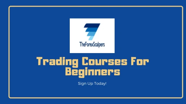 Best Forex Trading Courses for Beginners - The Forex Scalpers